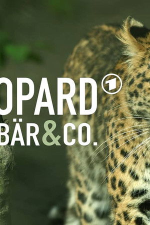 Leopard, Seebär & Co.