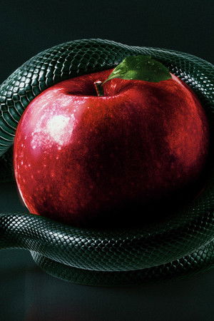 Bible Secrets Revealed