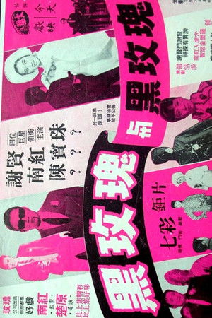 黑玫瑰與黑玫瑰