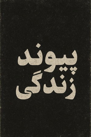 پیوند زندگی