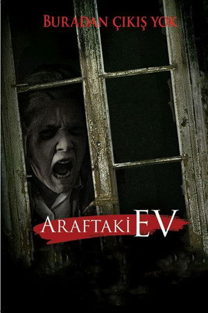 Araftaki Ev