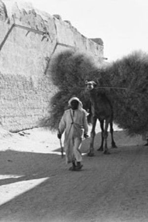 الفرج بعد الشدة