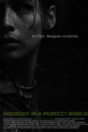 Midnight in a Perfect World
