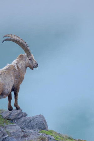 Naturerbe Österreich - Die Nationalparks