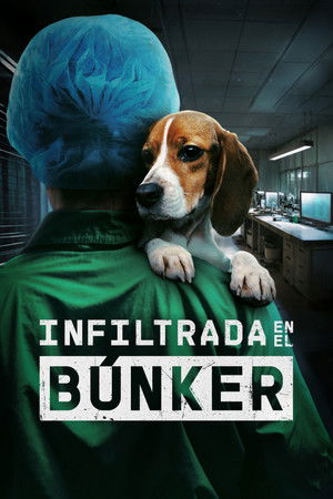 Infiltrada en el búnker
