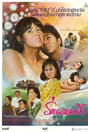 ร่านดอกงิ้ว