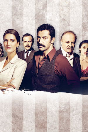 Karadayı