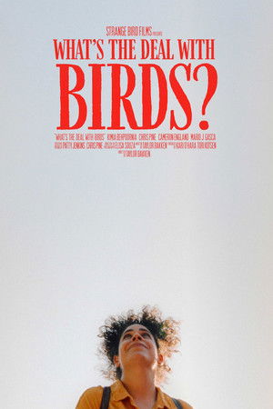 What's The Deal With Birds?