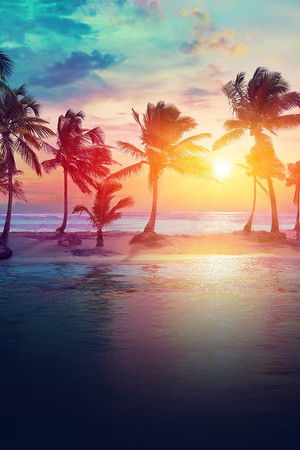 Les Anges de la Téléréalité