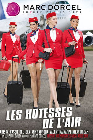 The flight attendants - movie X streaming unlimited, porn video, sex vod on Xillimité