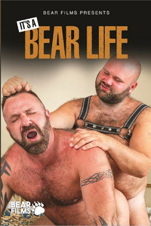 It's a Bear Life
