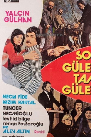 Son Gülen Tam Güler