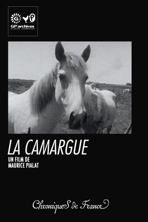 La Camargue