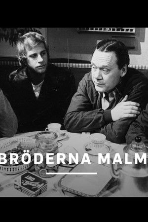 Bröderna Malm