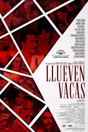 Llueven vacas