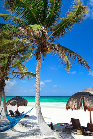 Tattoo Fixers on Holiday