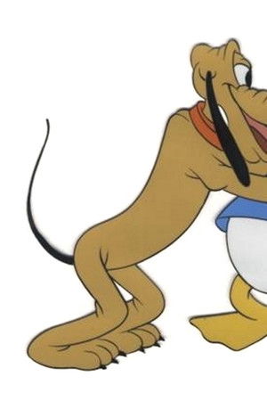 Bu Senin Hayatın Donald Duck