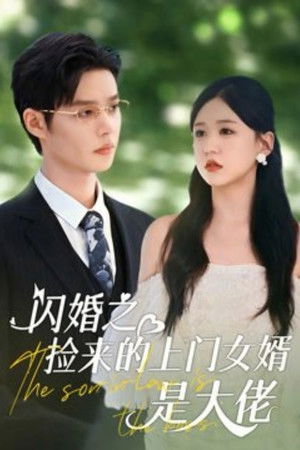 闪婚之捡来的上门女婿是大佬