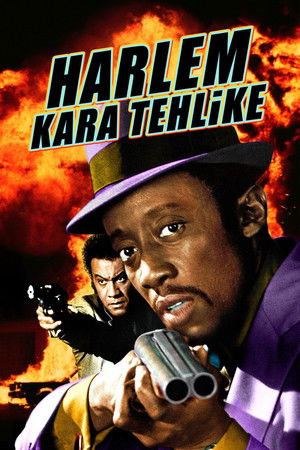 Harlem - Kara Tehlike