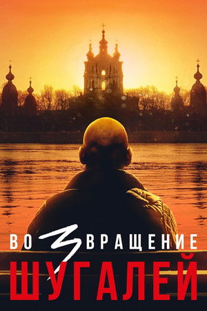 Возвращение. Шугалей