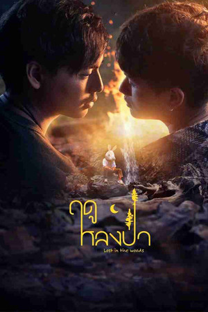 ฤดูหลงป่า