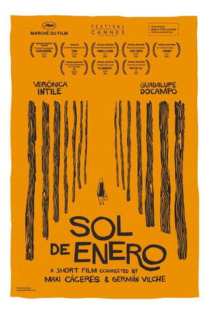 Sol de enero