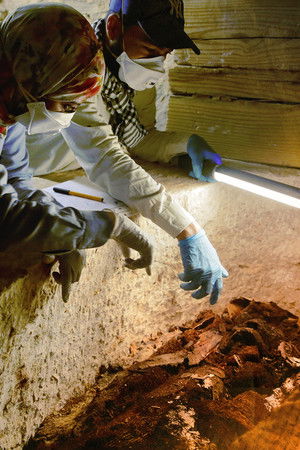 Kingdom of the Mummies