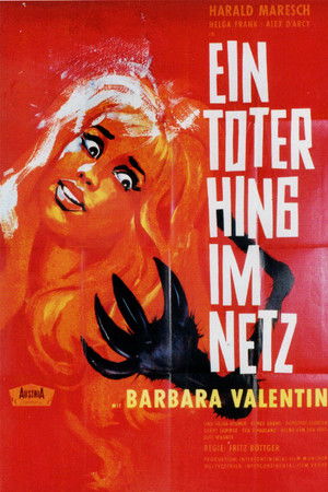 Ein Toter hing im Netz