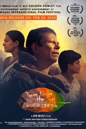 വെയിൽമരങ്ങൾ