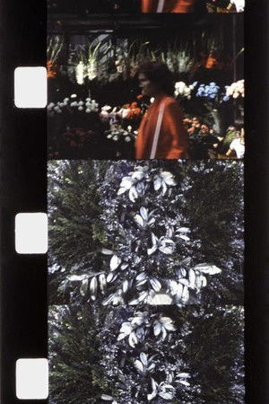 Chutes de Foire du Trône