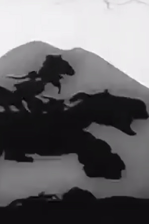 Похождения Мюнхгаузена