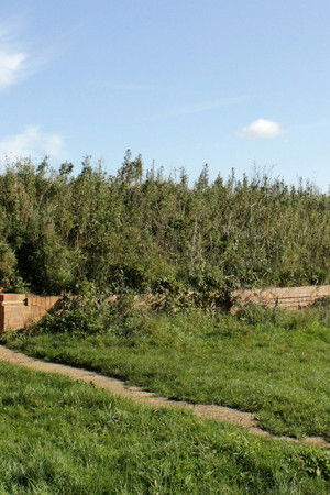 The Buildings That Fought Hitler