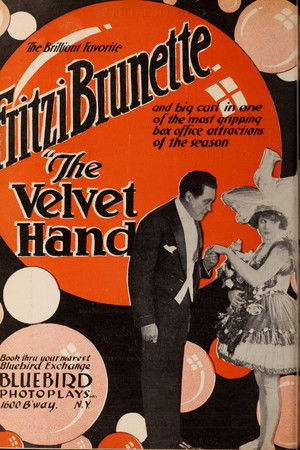 The Velvet Hand