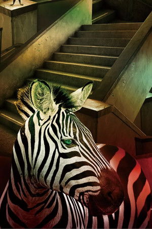 天橋上的魔術師