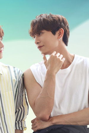 사랑은 고양이처럼