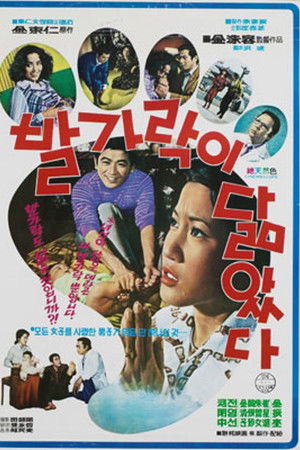 발가락이 닮았다