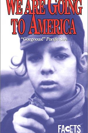 Мы едем в Америку