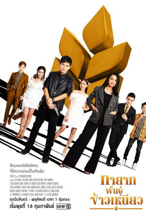 ทายาทพันธุ์ข้าวเหนียว