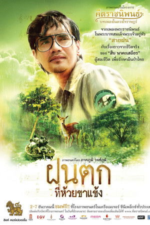 ฝนตกที่ห้วยขาแข้ง