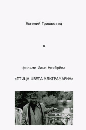 Птица цвета ультрамарин