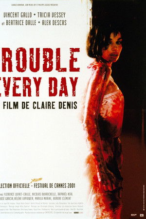 Her Gün Başka Bir Bela