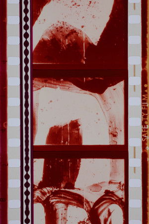 Un soir au cinéma, suivi de Pour faire un film