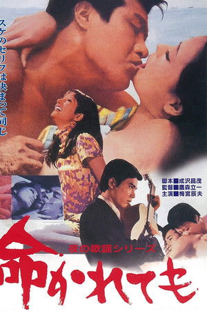 夜の歌謡シリーズ 命かれても