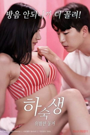 하숙생 : 위험한 동거