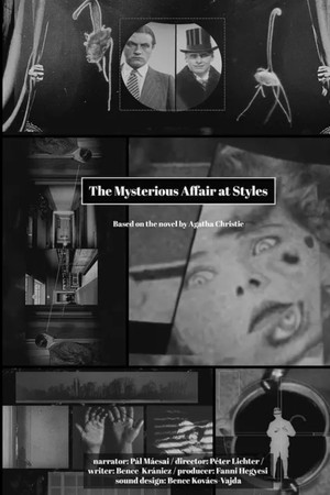 A titokzatos stylesi eset