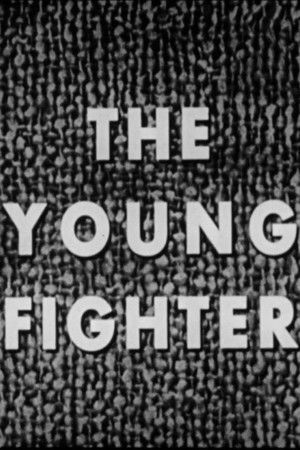 The Young Fighter