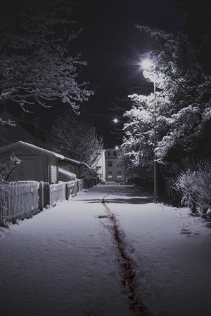 The Valhalla Murders