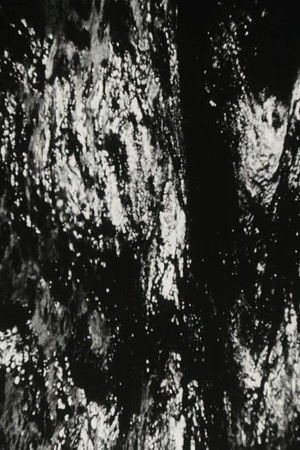 Bitemporal Vision: The Sea