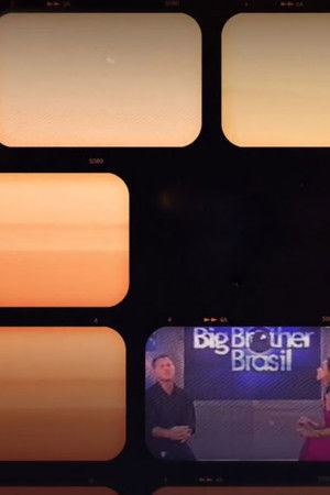 Realities: O Brasil na TV