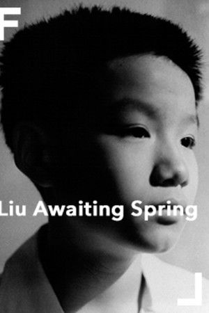 Liu Awaiting Spring